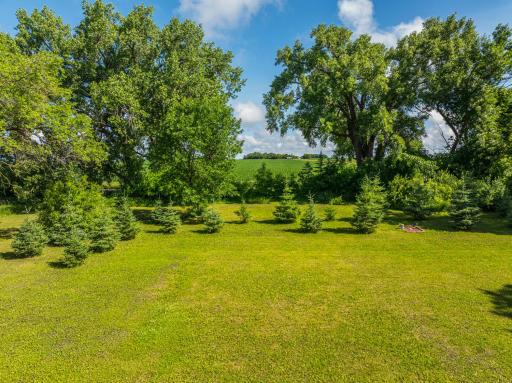 1265 230th Street, Mahnomen, MN 56557