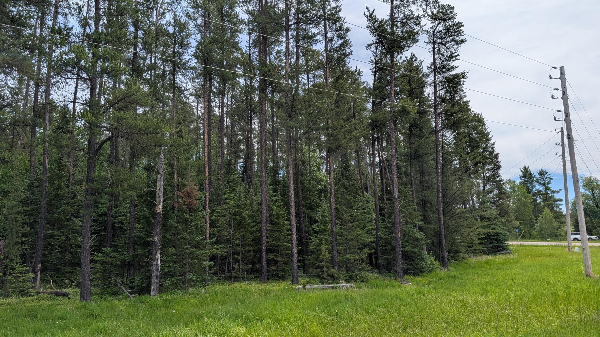 Property photo for TBD Vermilion Trail, Aurora, MN 55705