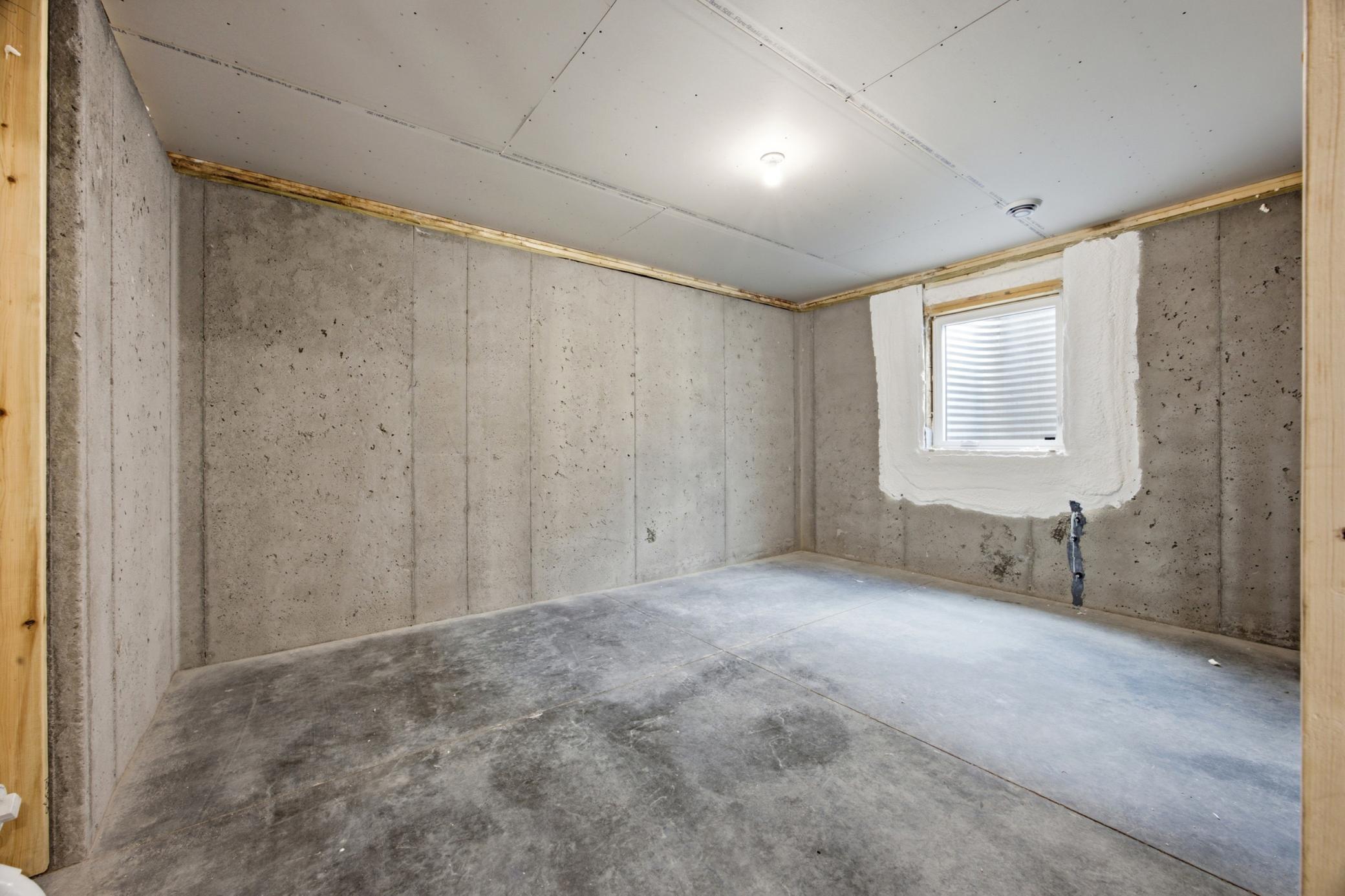 Unfinished Basement
