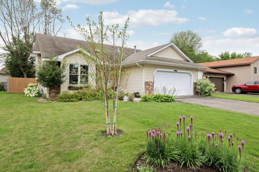New 4-stem Riverbirch in your front yard with lots of perennials adds curb appeal