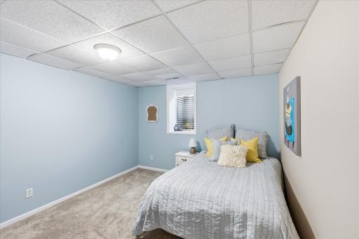 Lower level bedroom #4 with egress window.