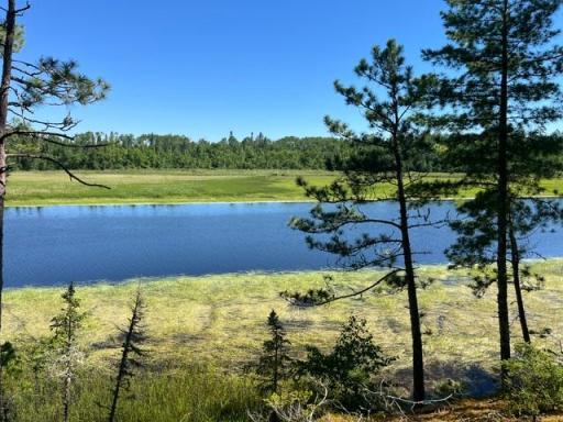 7168 Gold Mine Road, Orr, MN 55771