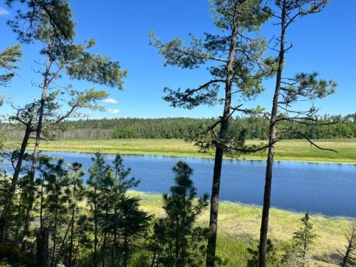7168 Gold Mine Road, Orr, MN 55771