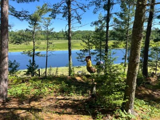 7168 Gold Mine Road, Orr, MN 55771