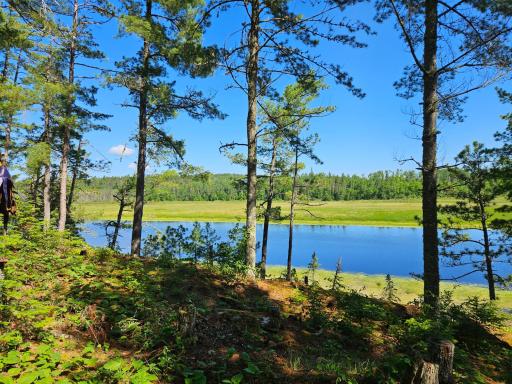 7168 Gold Mine Road, Orr, MN 55771