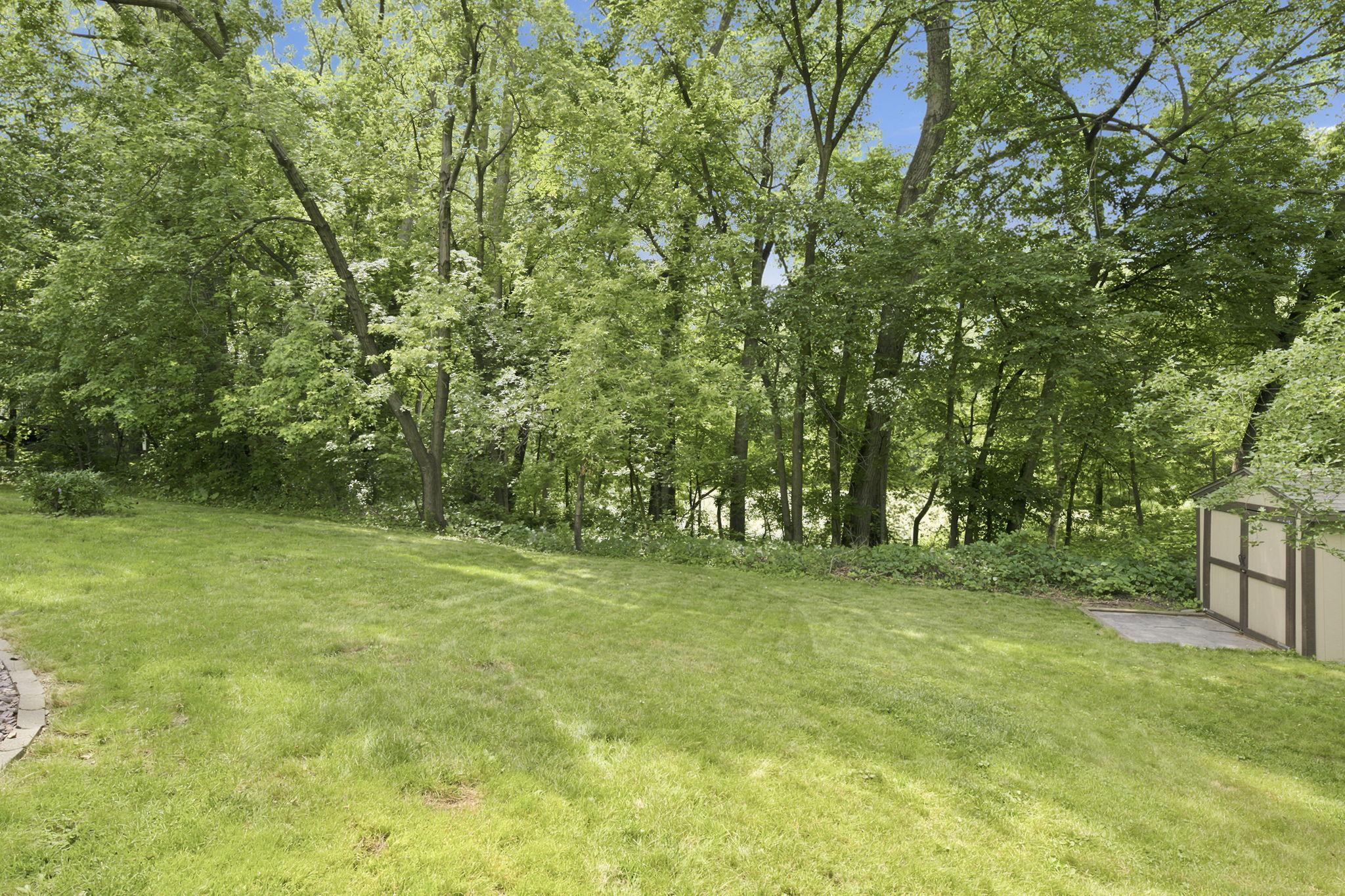 27-web-or-mls-P1051211.jpg
