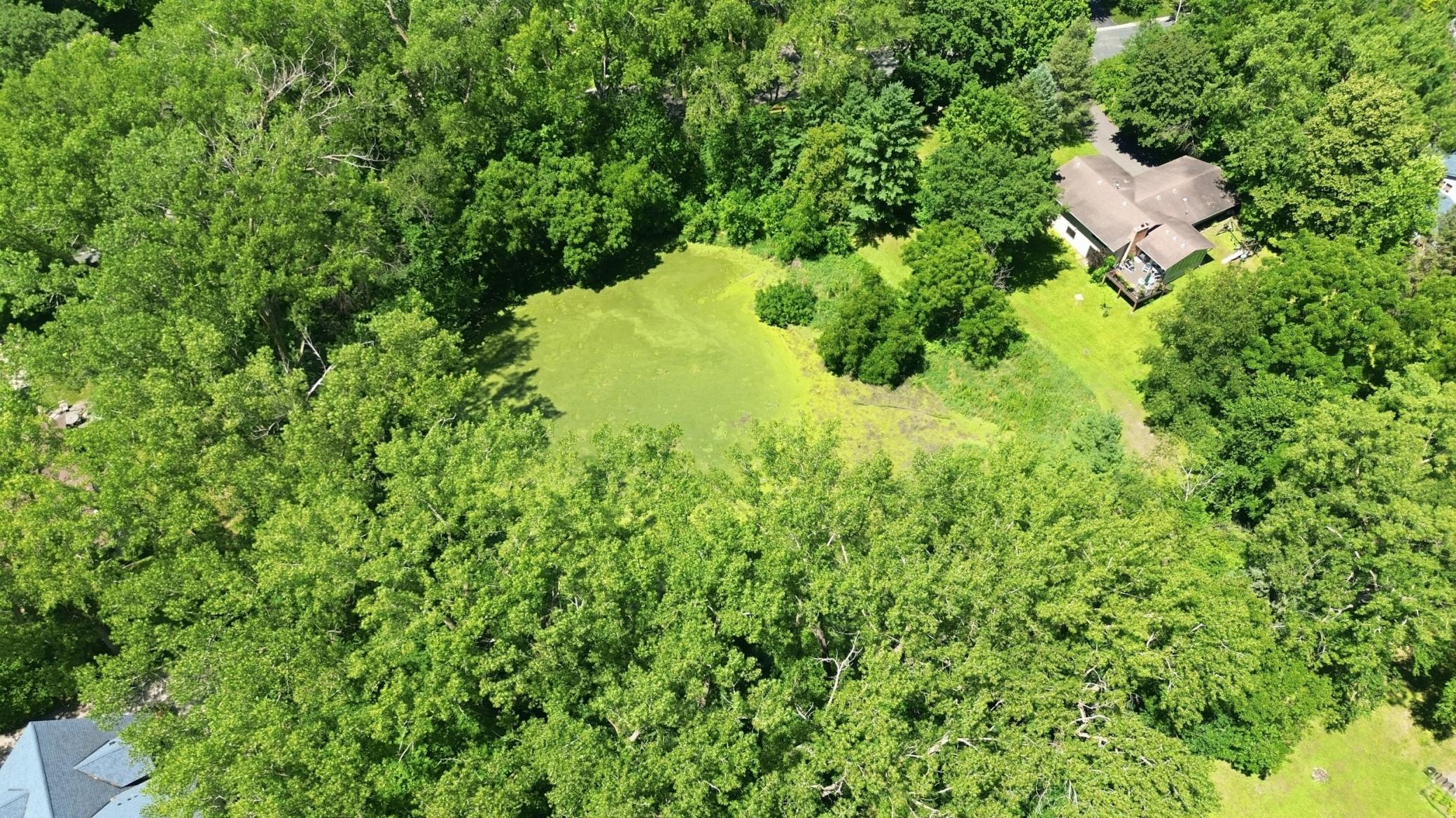 55_dji_0776.jpg