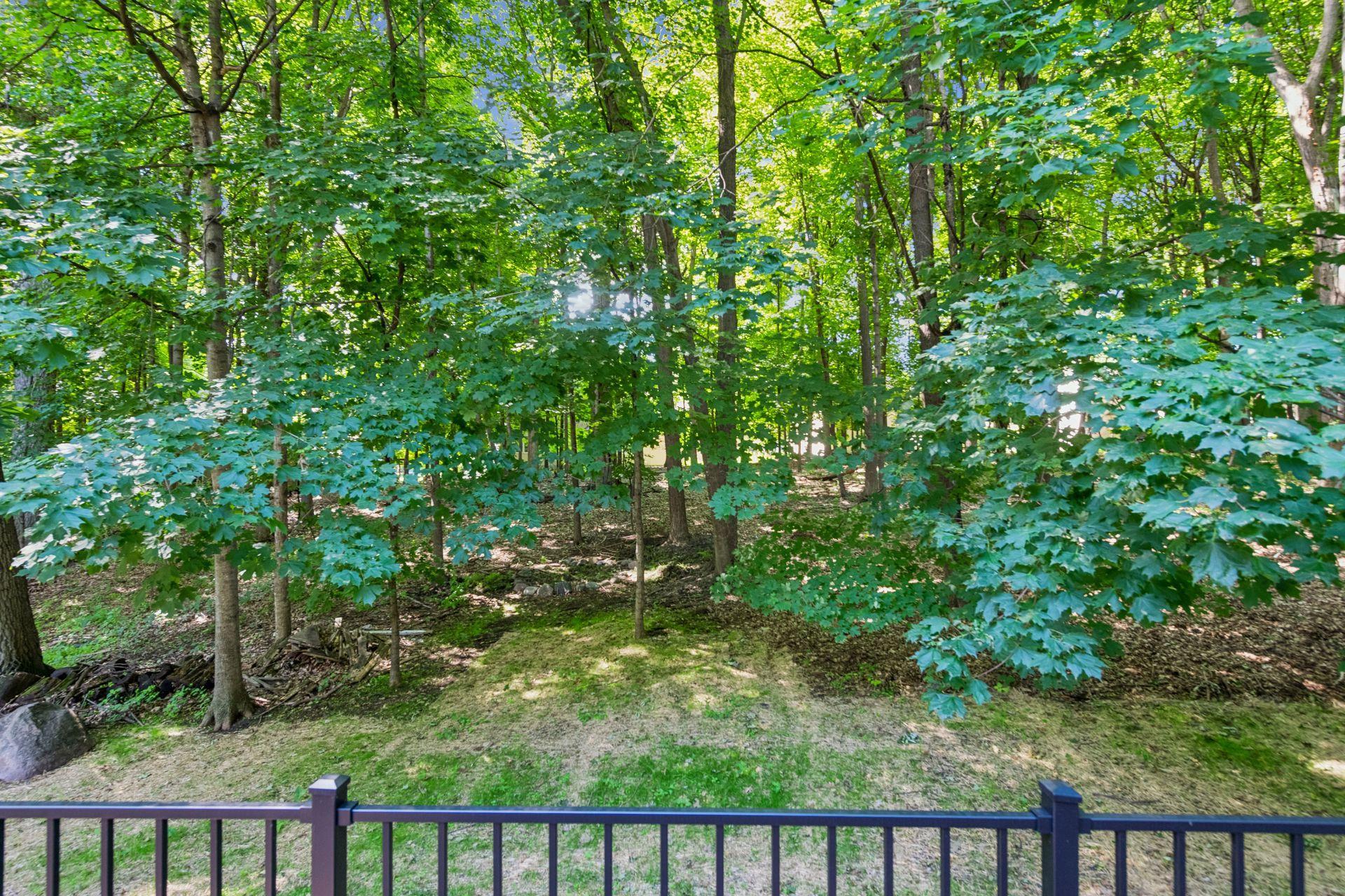 More Backyard Views