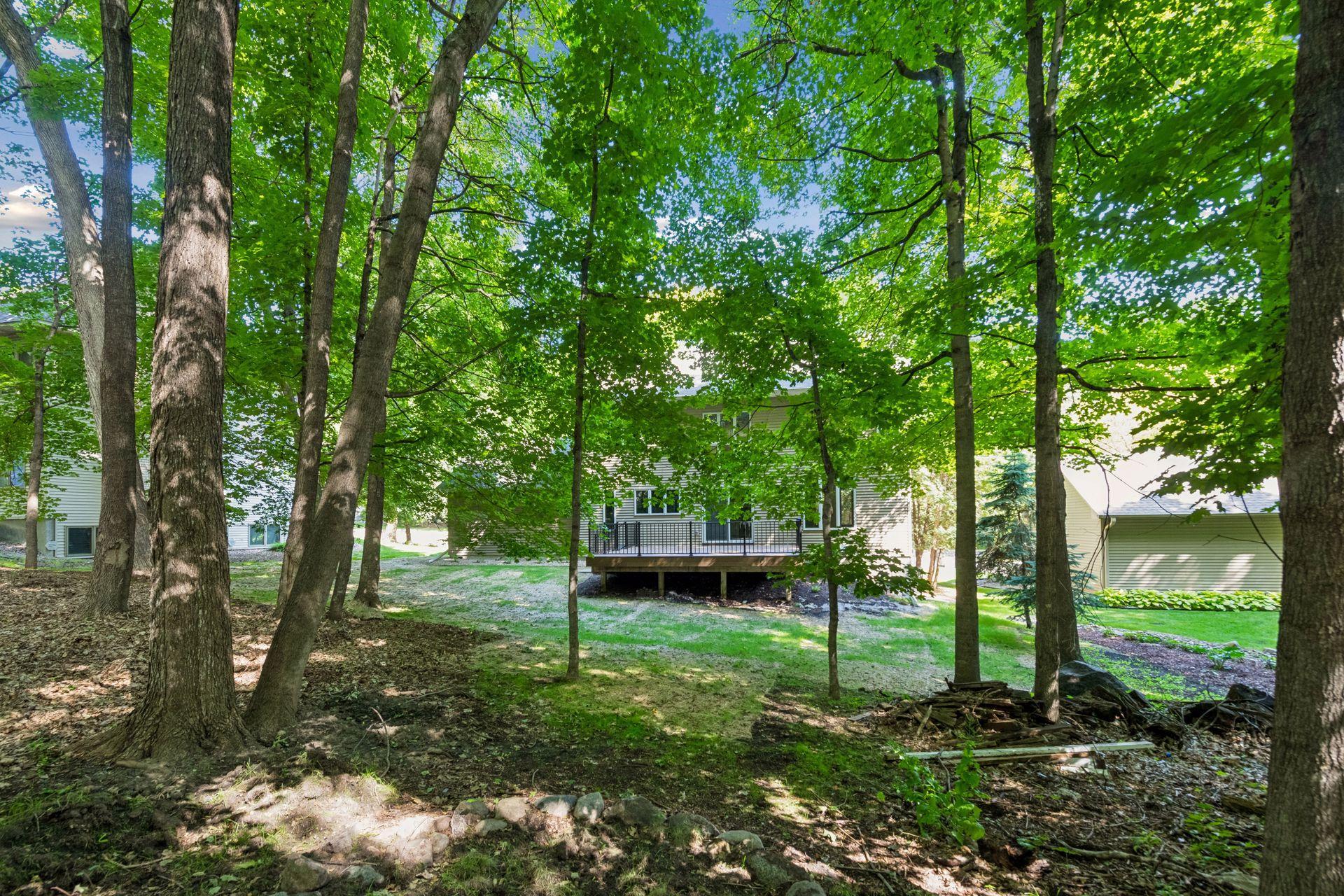 More Wooded Backyard Views