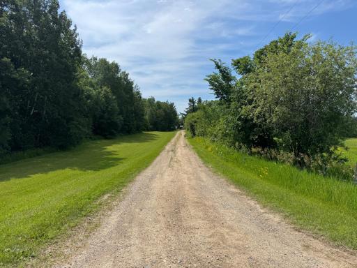 Driveway