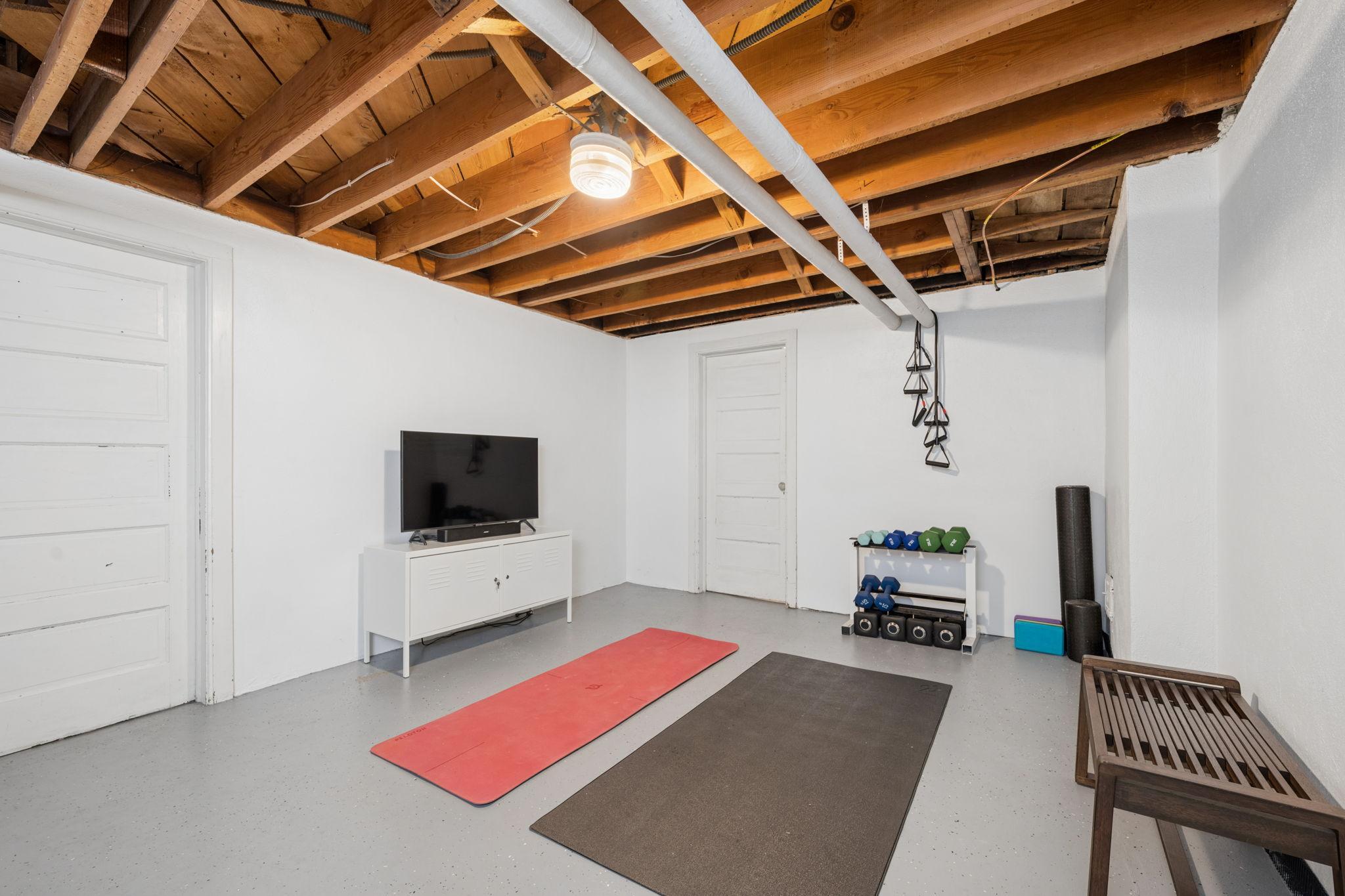 Basement - Flex space
