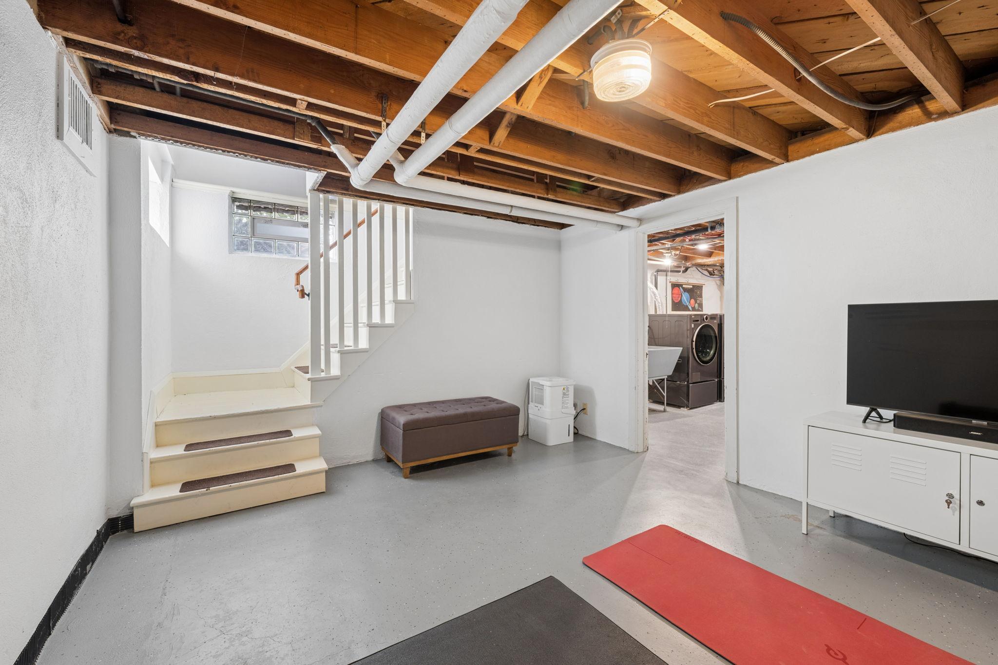 Basement - flex space