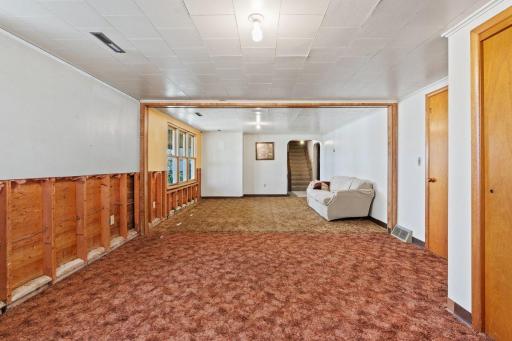 Lower Level Living Space