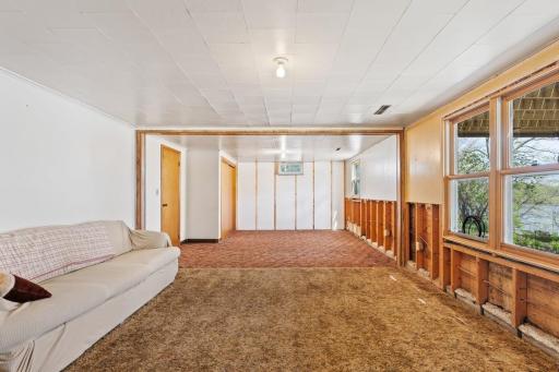 Lower Level Living Space