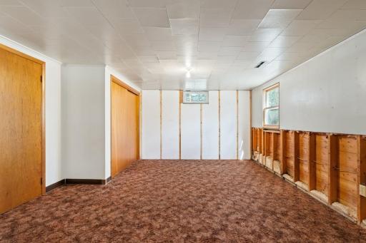 Lower Level Living Space