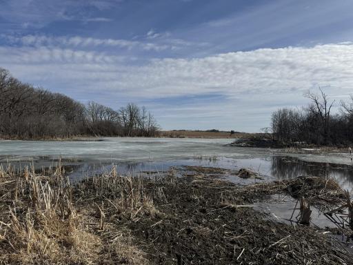 Horsehead 4 Acre Pond .jpg