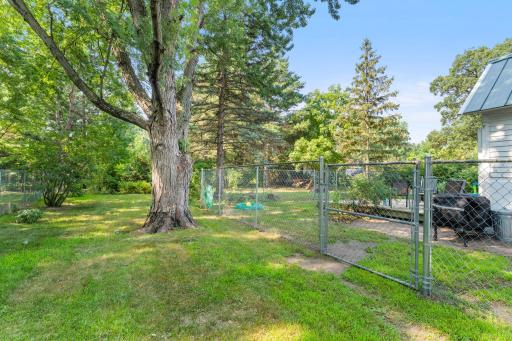 Here you can see there is more yard outside the fenced area.