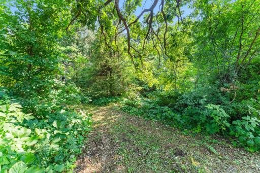 6349 Oak Street, North Branch, MN 55056