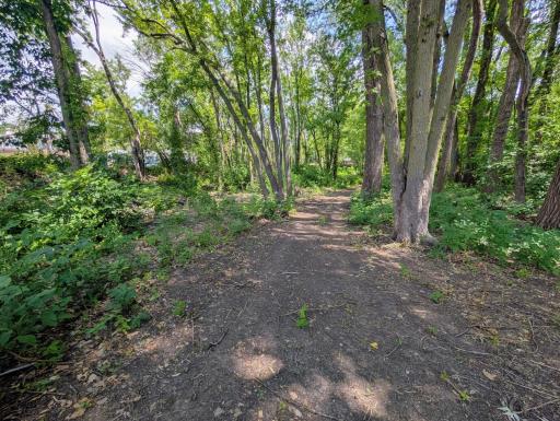 Cleared Path Through River Front Lot.