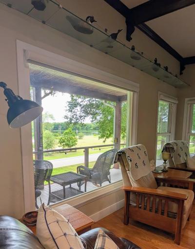 View from Living Room