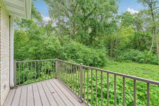 23 Evergreen Road, North Oaks, MN 55127
