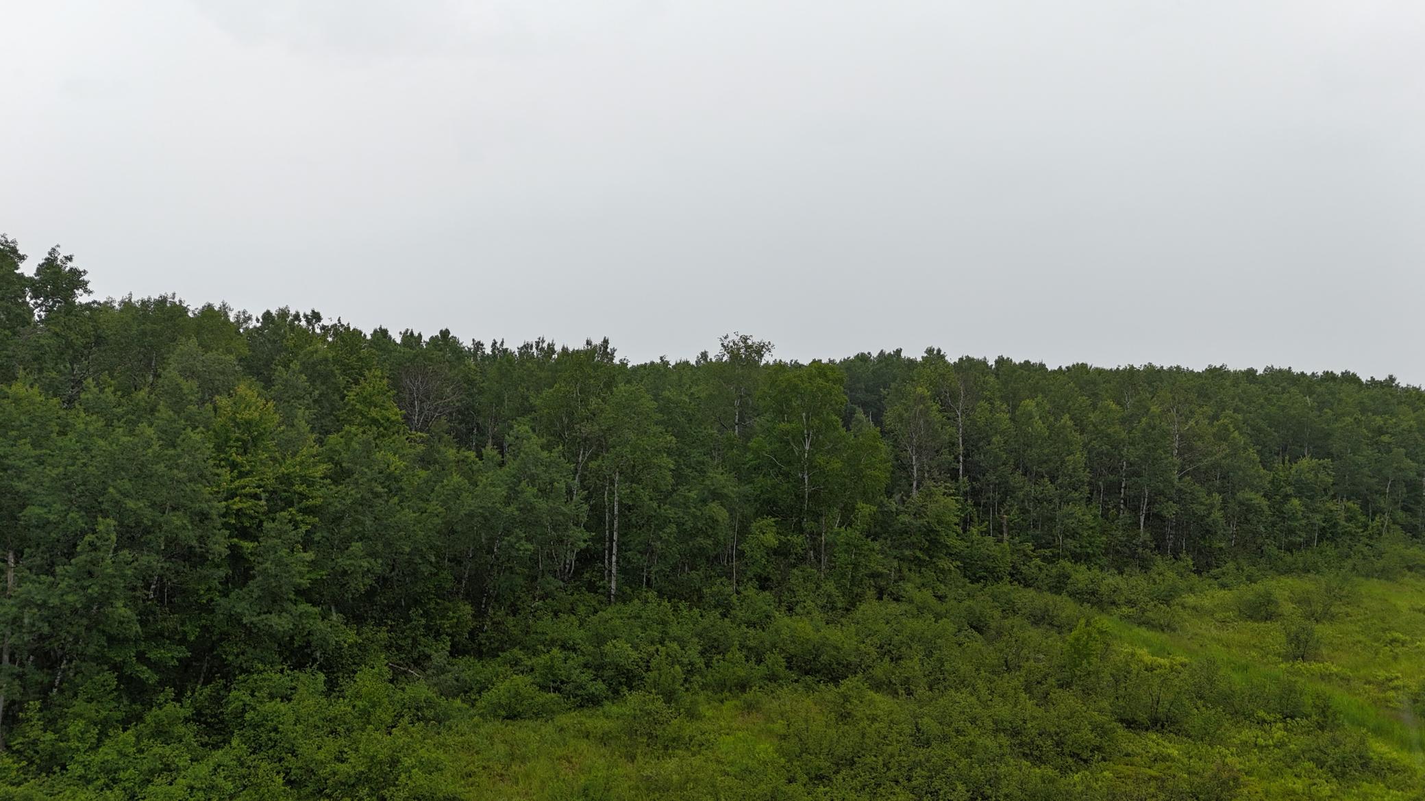 DJI_20260623153555_0717_D.JPG