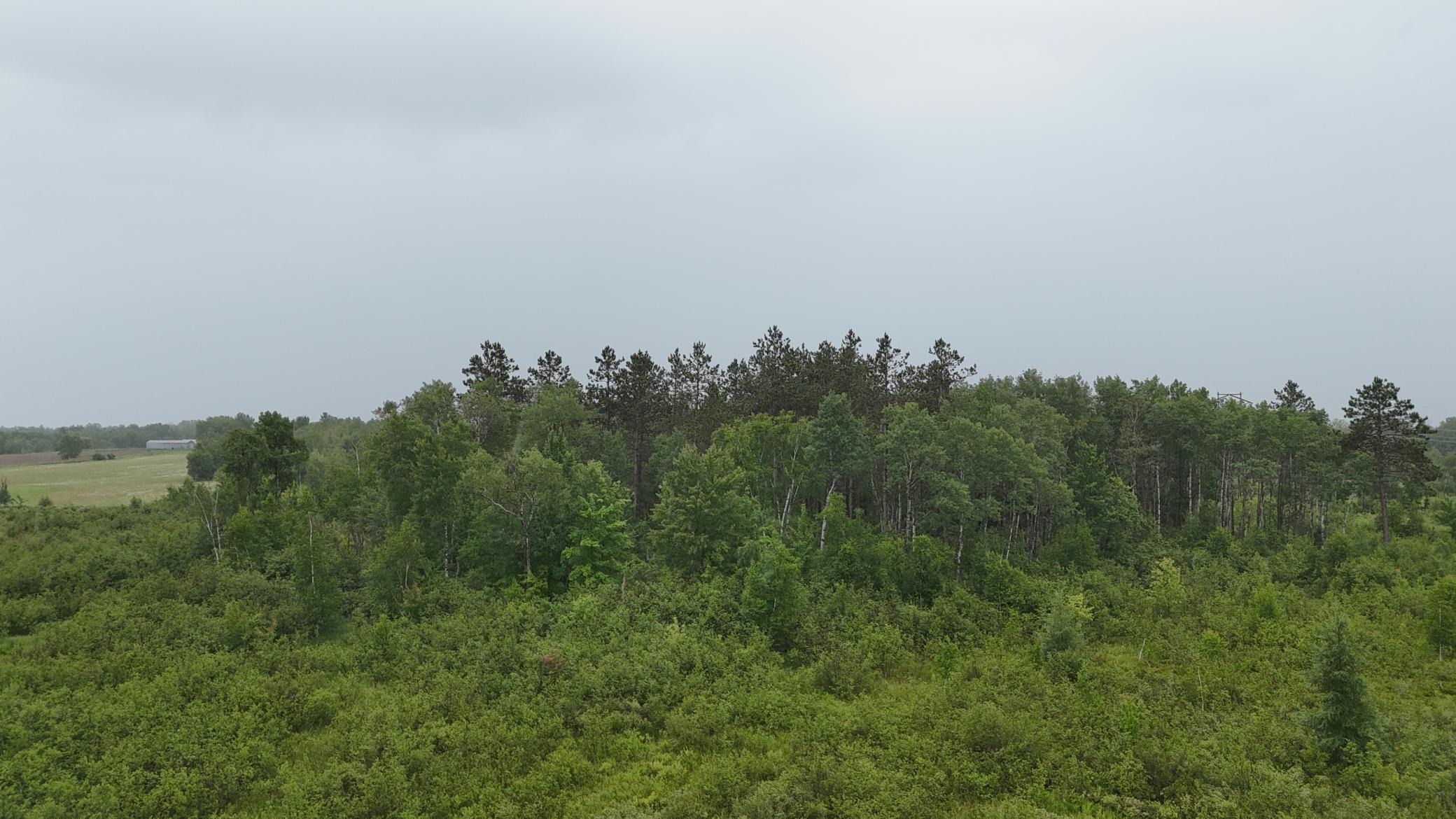 DJI_20260623153546_0716_D.JPG