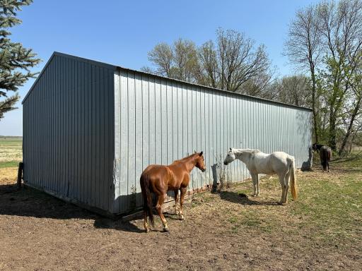 Perfect setting for all your animals