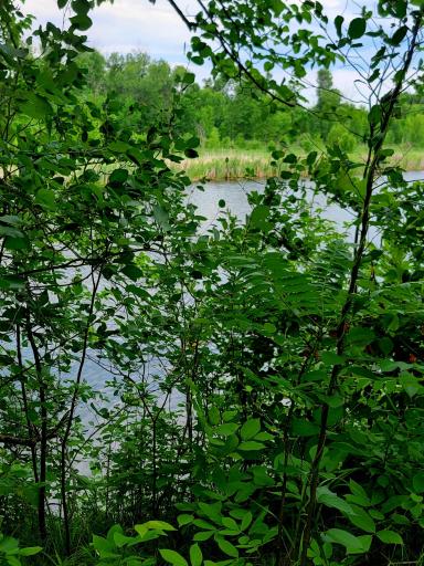 40130 460th Avenue, Perham, MN 56573