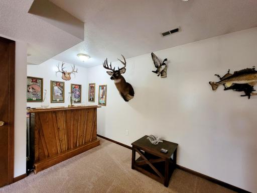 40130 460th Avenue, Perham, MN 56573