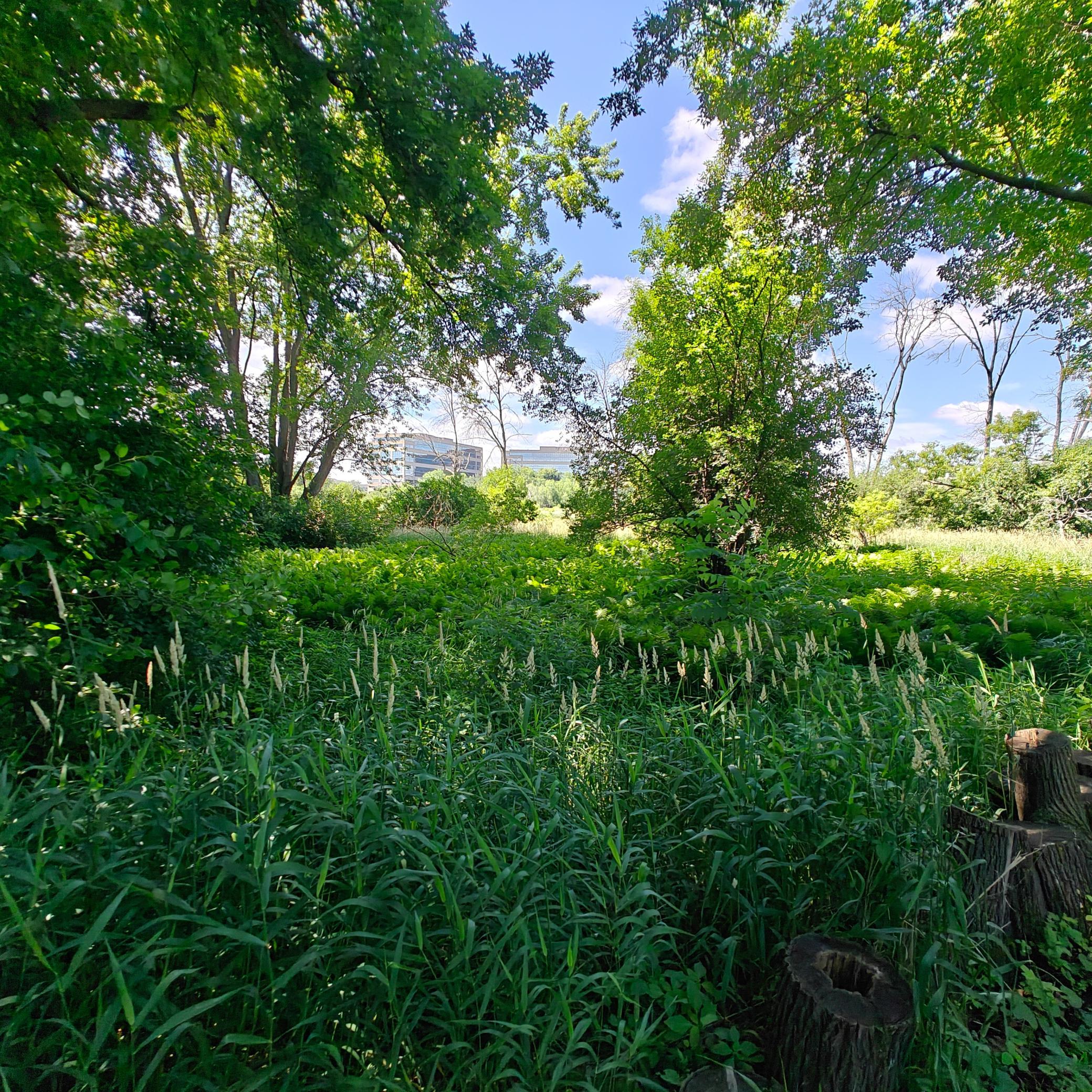 Property photo for 18 Westwood Circle, Hopkins, MN 55305