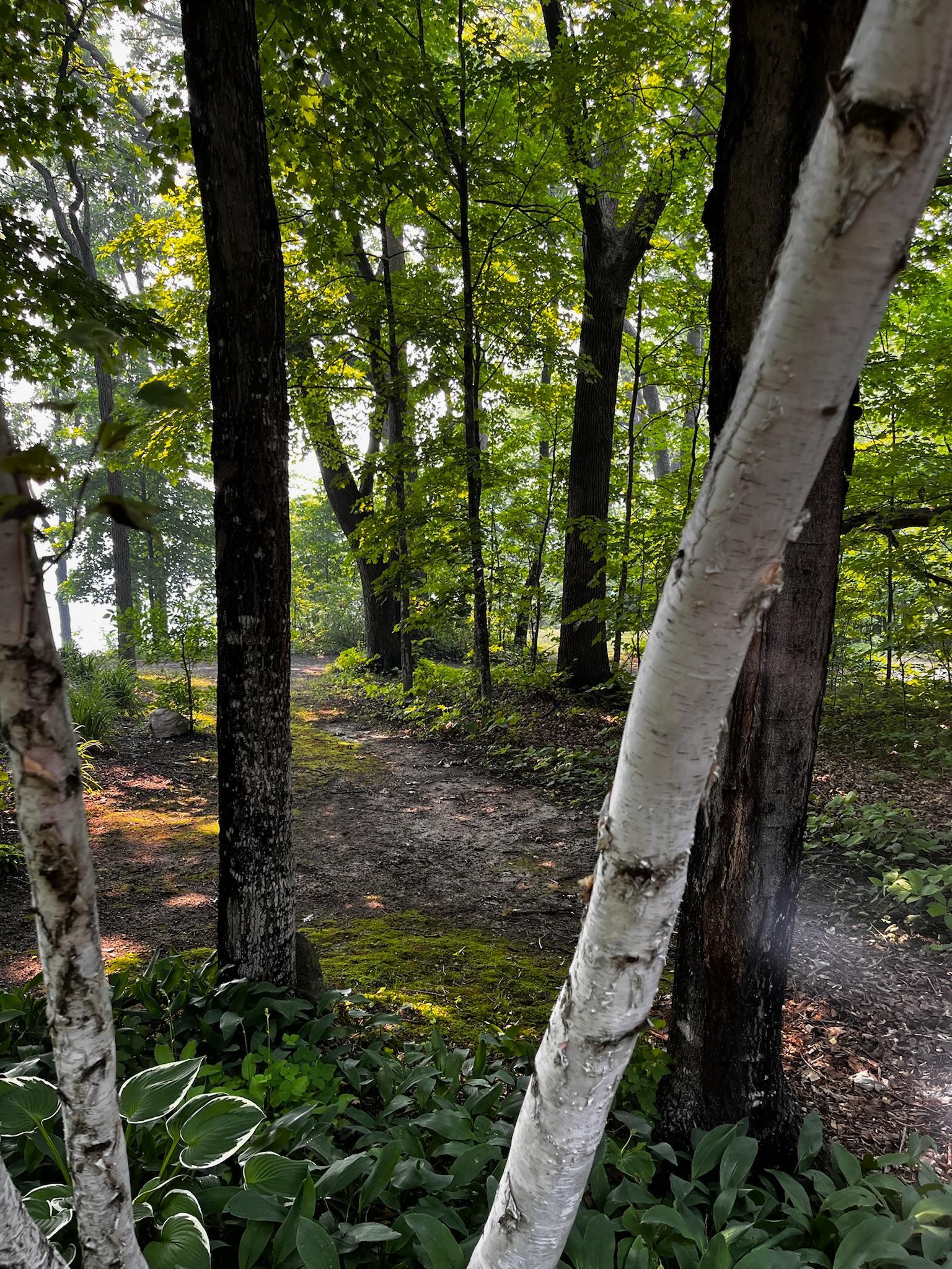Utility Trail 2