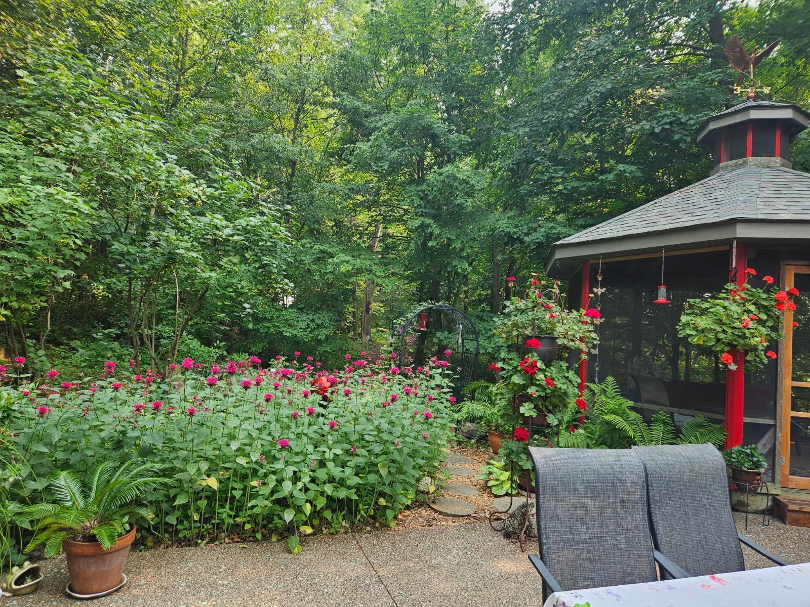 Greenspace between Greenhouse and Gazebo