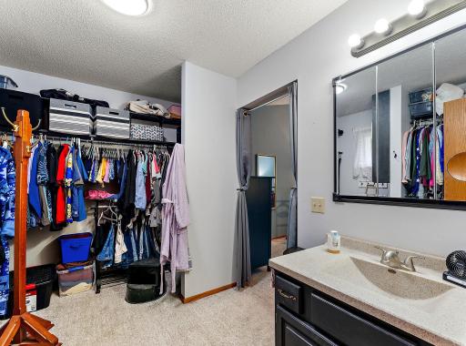 13145 4th St N - Primary closet & Vanity Sink