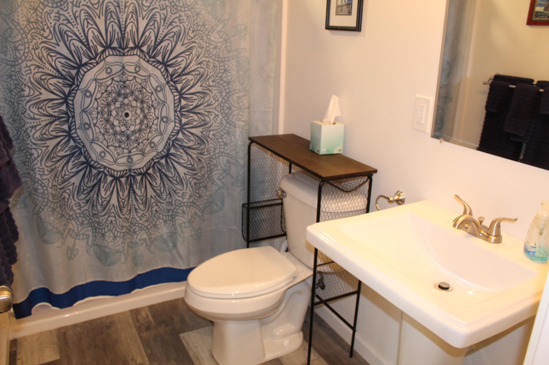 Lower level Bathroom
