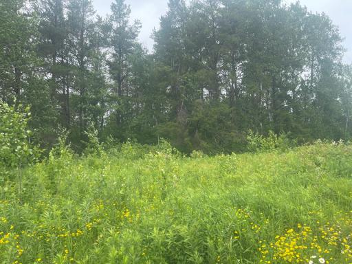 TBD Degerstrom Road, Askov, MN 55704