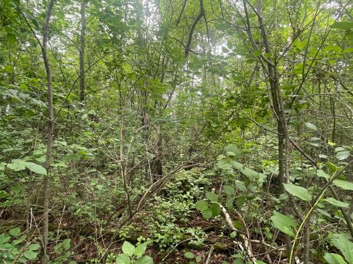 TBD Degerstrom Road, Askov, MN 55704