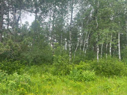 TBD Degerstrom Road, Askov, MN 55704