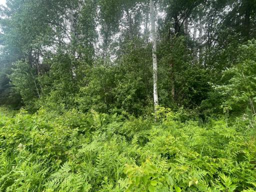 TBD Degerstrom Road, Askov, MN 55704
