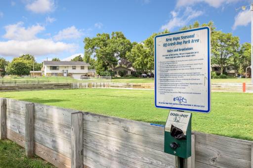Off-leash dog park area