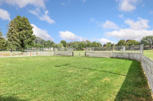 Enclosed off-leash dog park.
