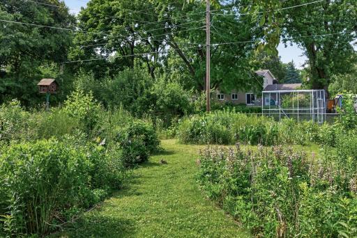 Backyard Garden