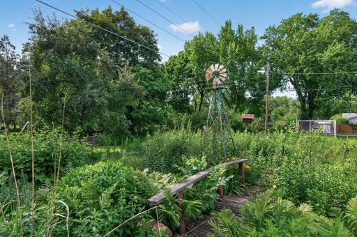 Backyard Garden