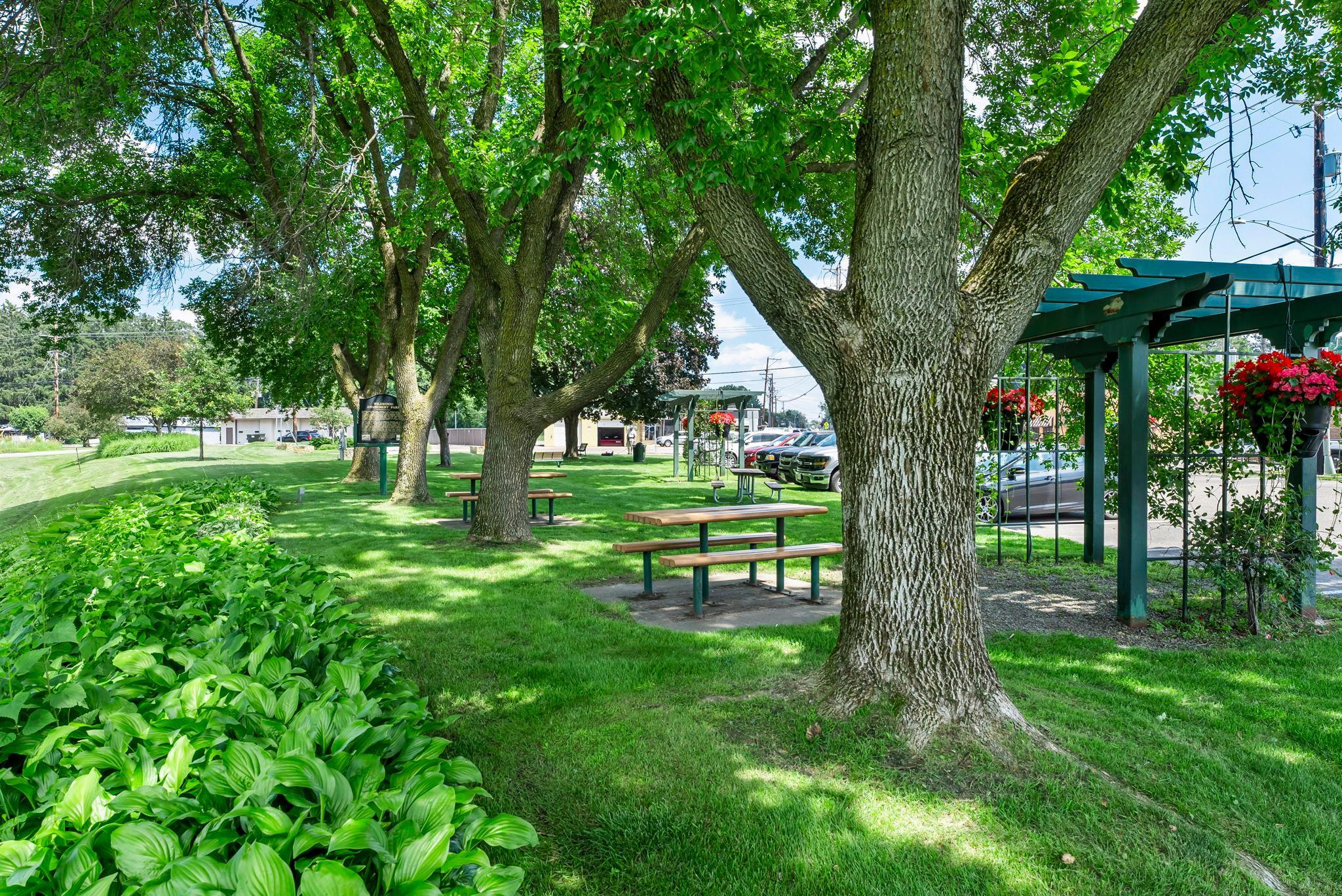 256-web-or-mls-Mahtomedi-8.jpg