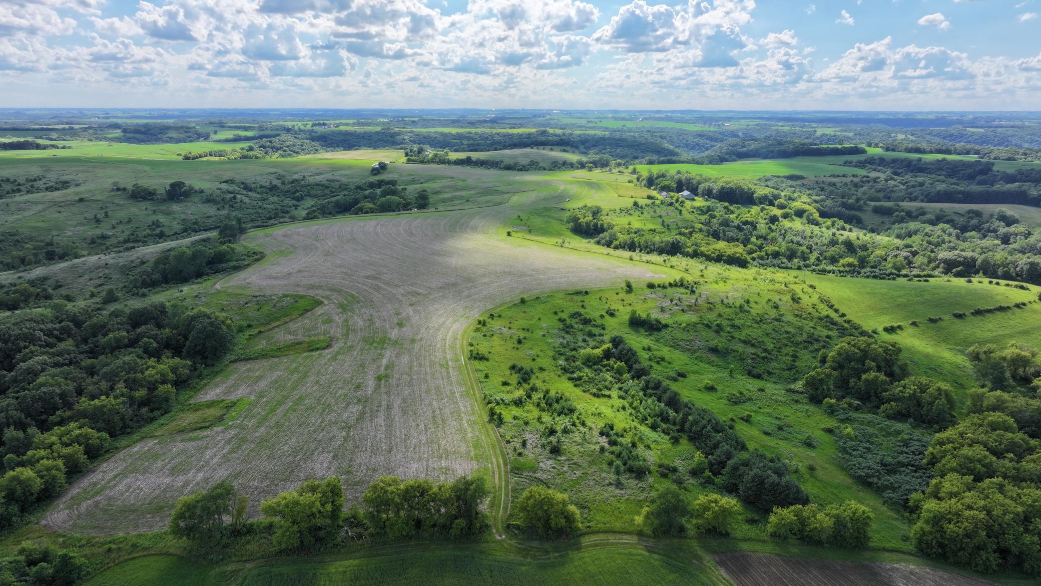DJI_20260624172259_0785_D.JPG