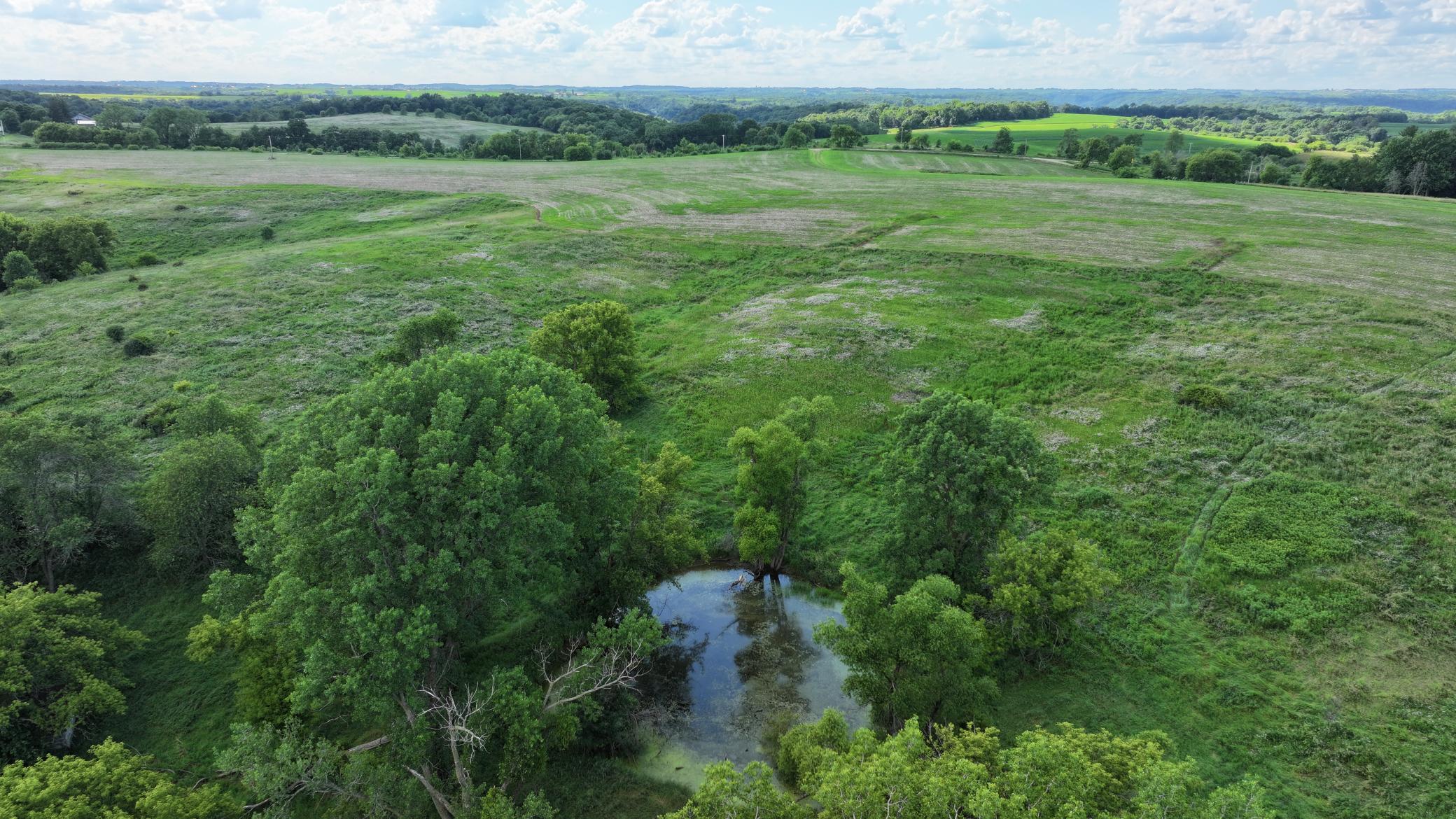 DJI_20260624172031_0783_D.JPG