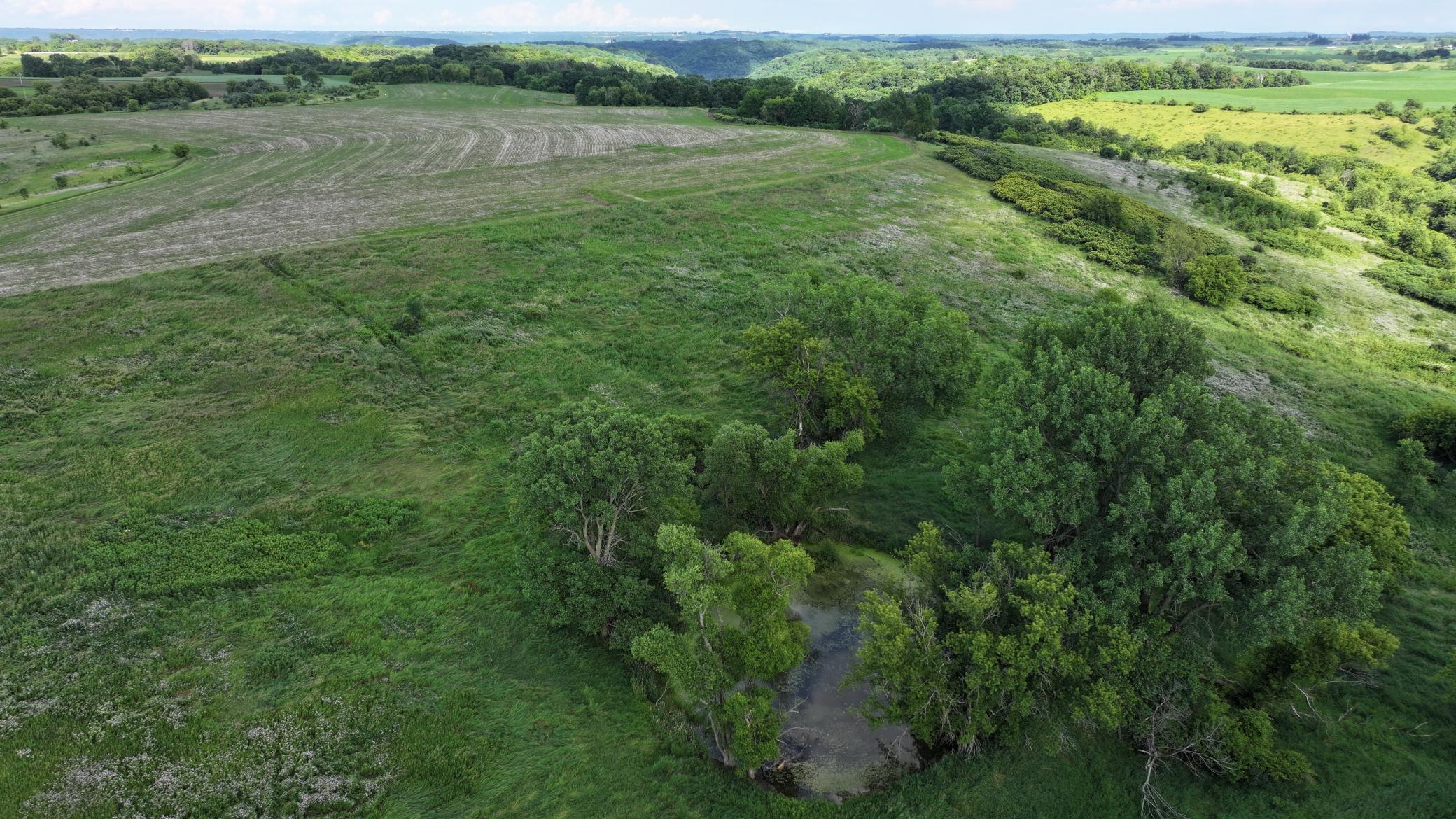 DJI_20260624172105_0784_D.JPG