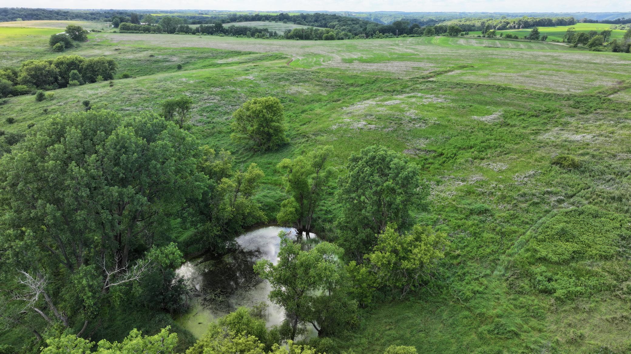 DJI_20260624172013_0782_D.JPG