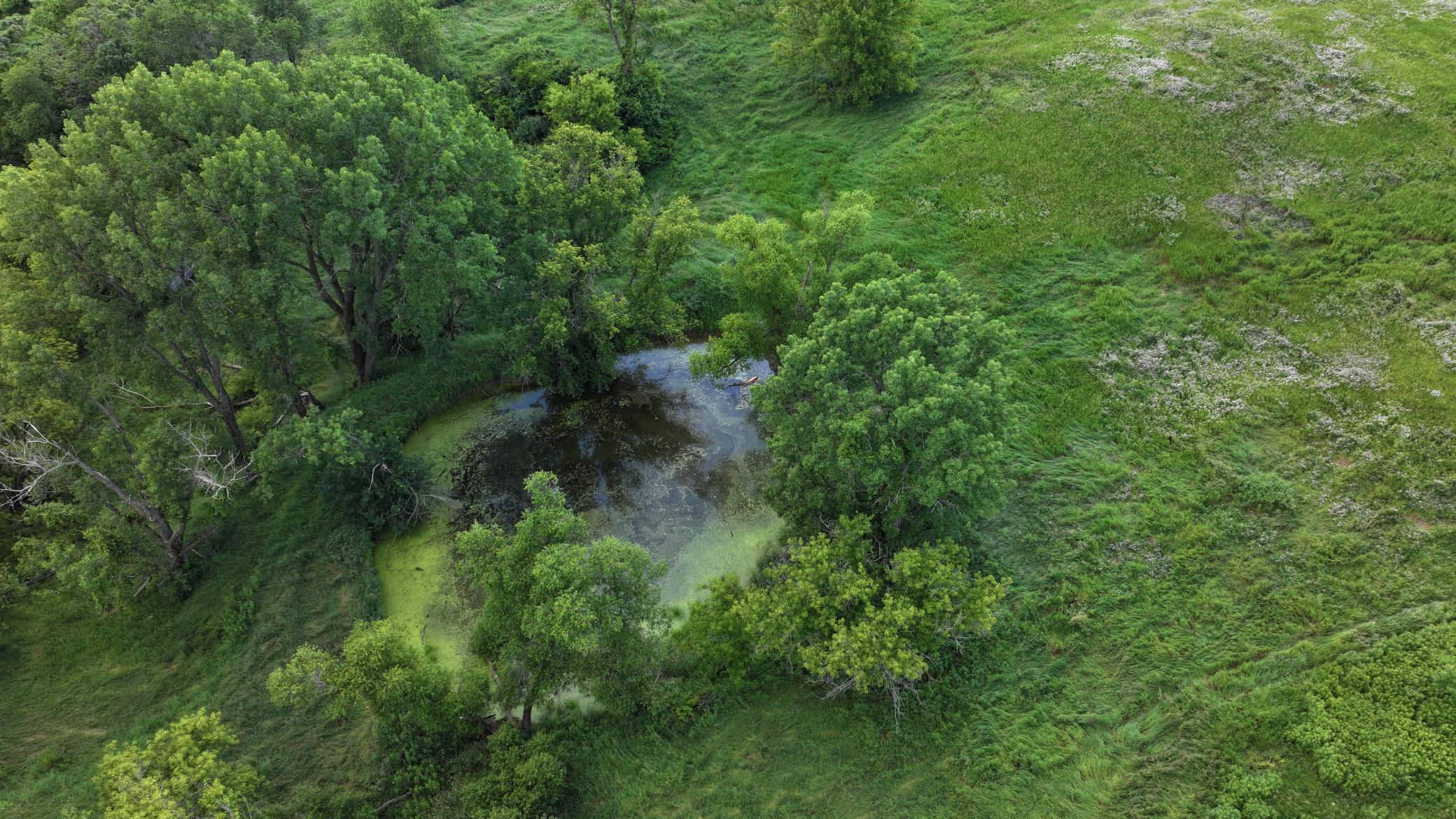 DJI_20260624171944_0780_D.JPG