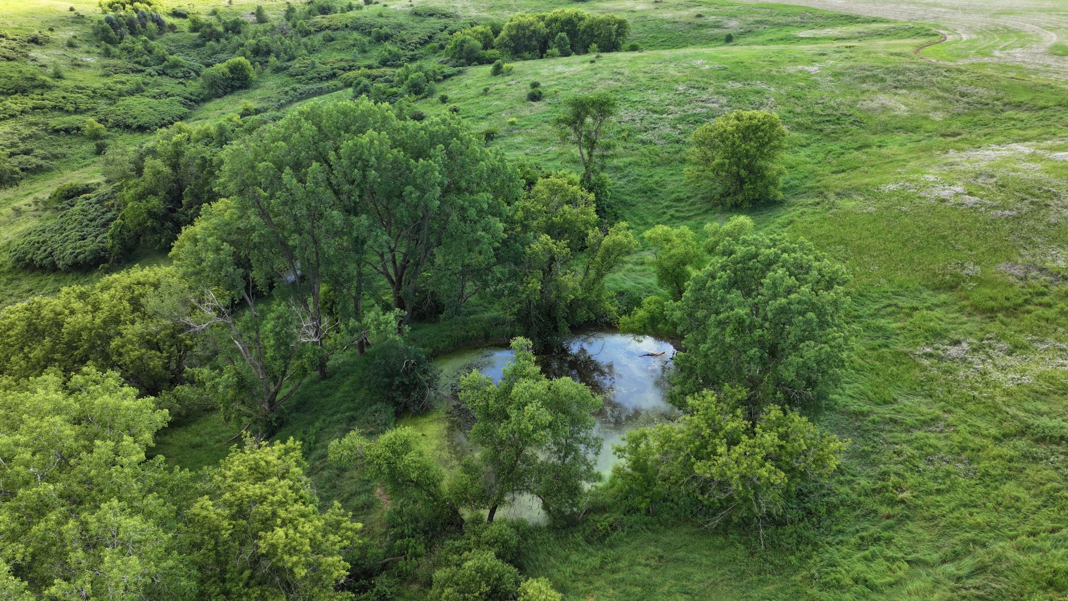 DJI_20260624171957_0781_D.JPG